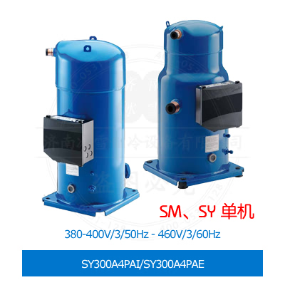 SY300A4PAI/SY300A4PAE SY300A4PAI/SY300A4PAE